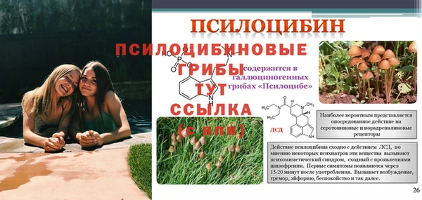 стафф Армянск