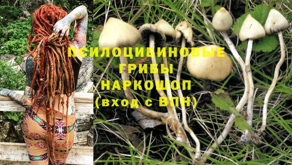 героин Алзамай